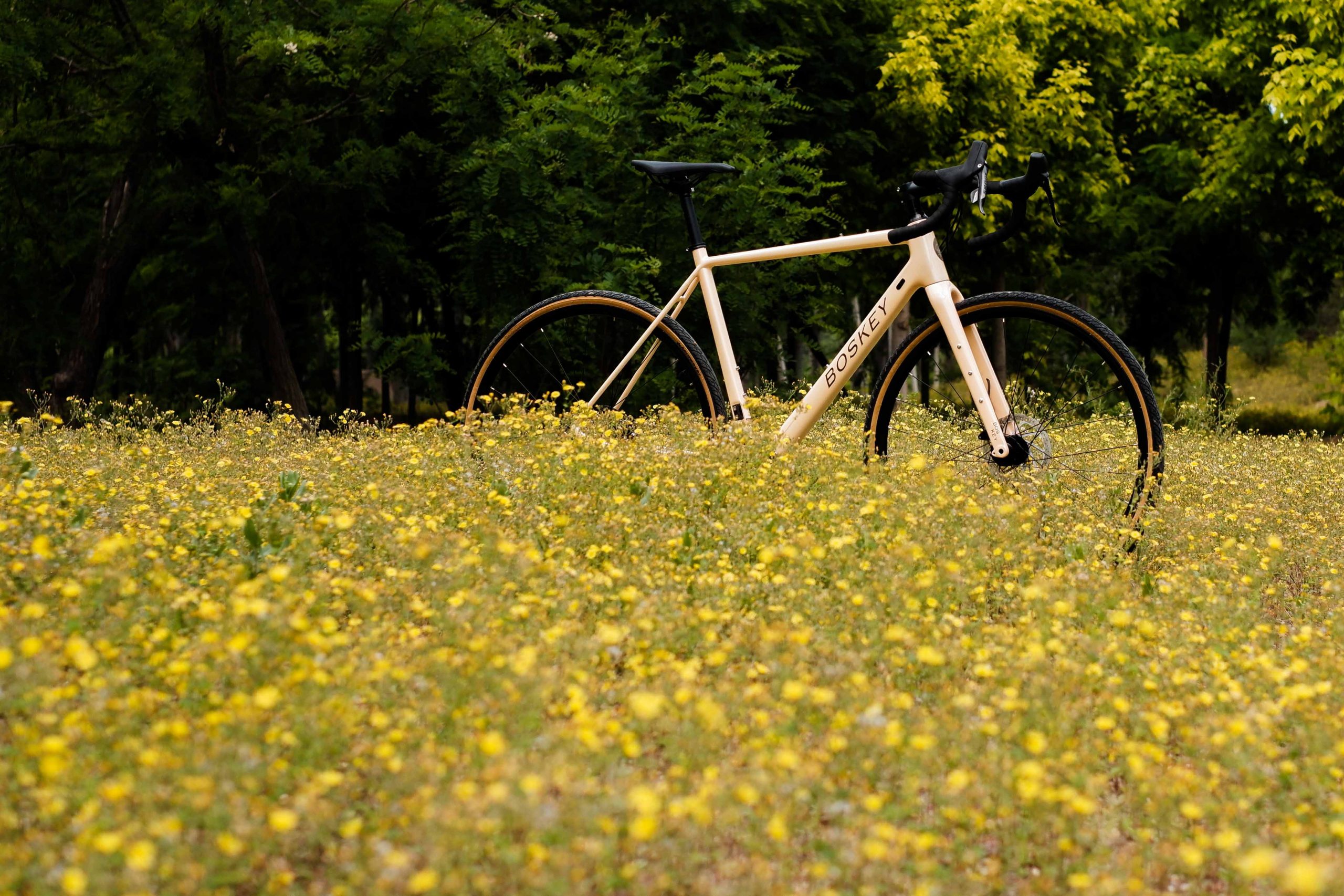 BOSKEY bicycle details